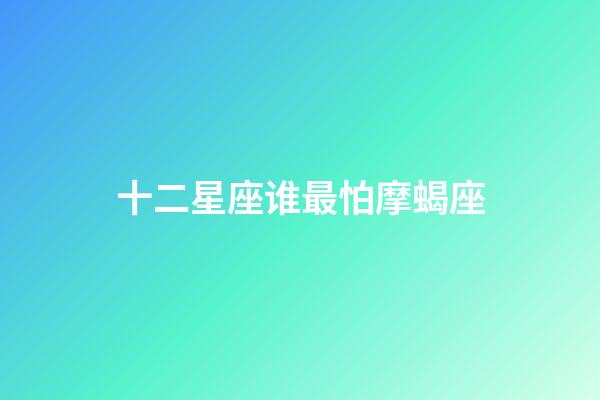 十二星座谁最怕摩蝎座-第1张-星座运势-玄机派