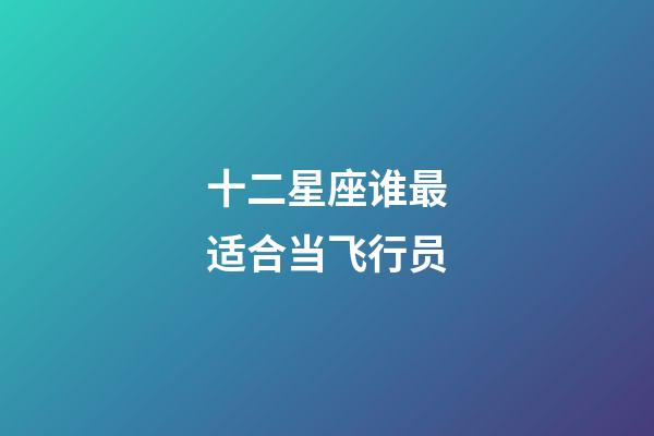 十二星座谁最适合当飞行员-第1张-星座运势-玄机派