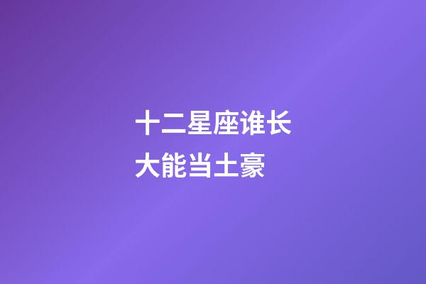 十二星座谁长大能当土豪-第1张-星座运势-玄机派