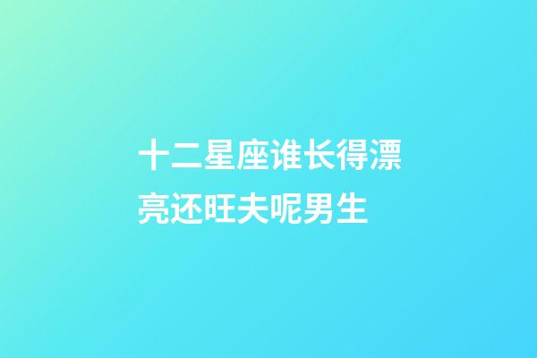 十二星座谁长得漂亮还旺夫呢男生-第1张-星座运势-玄机派