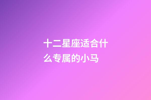 十二星座适合什么专属的小马-第1张-星座运势-玄机派