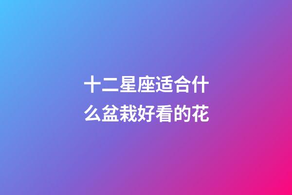 十二星座适合什么盆栽好看的花-第1张-星座运势-玄机派