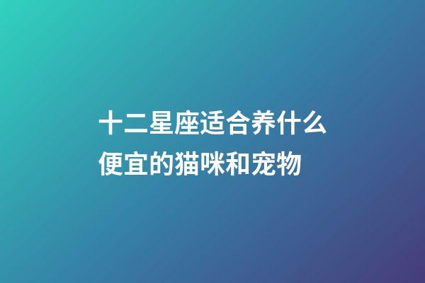 十二星座适合养什么便宜的猫咪和宠物-第1张-星座运势-玄机派