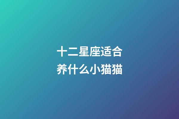 十二星座适合养什么小猫猫-第1张-星座运势-玄机派