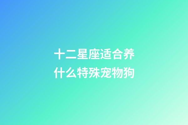 十二星座适合养什么特殊宠物狗-第1张-星座运势-玄机派