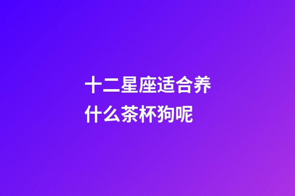 十二星座适合养什么茶杯狗呢-第1张-星座运势-玄机派