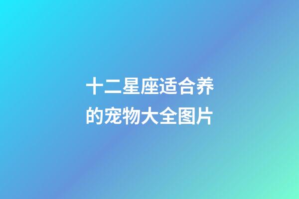 十二星座适合养的宠物大全图片-第1张-星座运势-玄机派