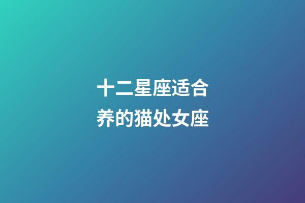 十二星座适合养的猫处女座-第1张-星座运势-玄机派