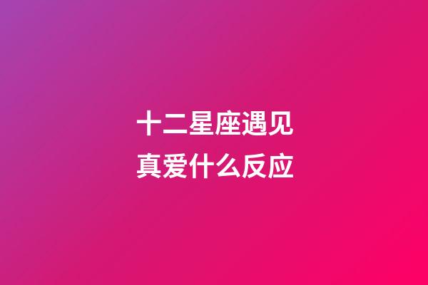 十二星座遇见真爱什么反应-第1张-星座运势-玄机派