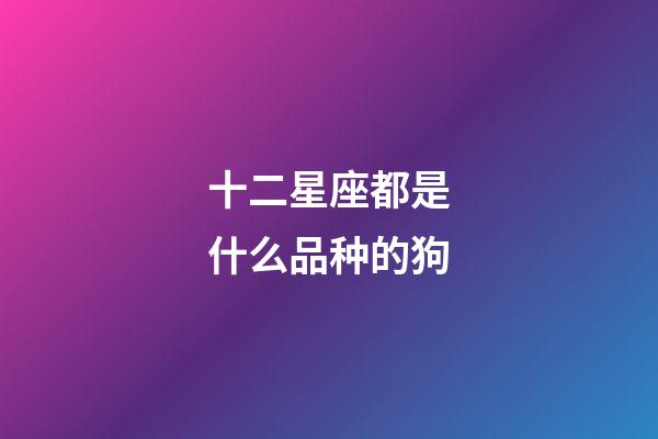 十二星座都是什么品种的狗-第1张-星座运势-玄机派