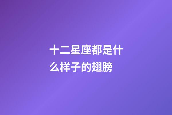 十二星座都是什么样子的翅膀-第1张-星座运势-玄机派