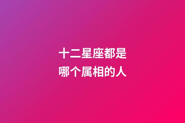 十二星座都是哪个属相的人-第1张-星座运势-玄机派