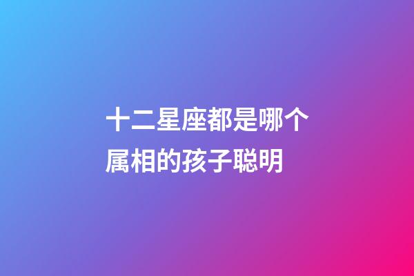 十二星座都是哪个属相的孩子聪明-第1张-星座运势-玄机派