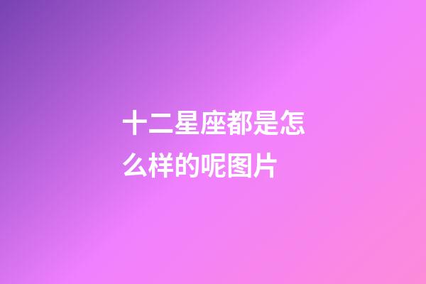 十二星座都是怎么样的呢图片-第1张-星座运势-玄机派