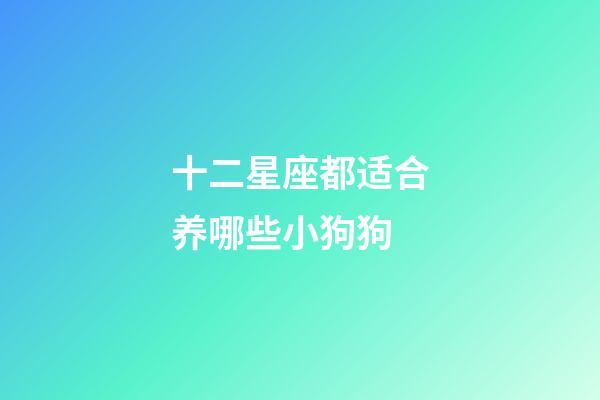 十二星座都适合养哪些小狗狗-第1张-星座运势-玄机派