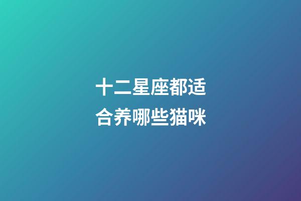 十二星座都适合养哪些猫咪-第1张-星座运势-玄机派