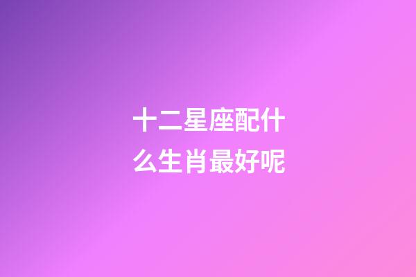 十二星座配什么生肖最好呢-第1张-星座运势-玄机派