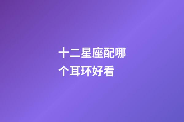 十二星座配哪个耳环好看-第1张-星座运势-玄机派