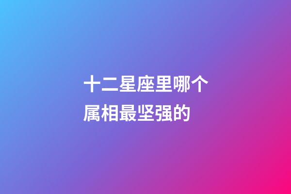 十二星座里哪个属相最坚强的-第1张-星座运势-玄机派