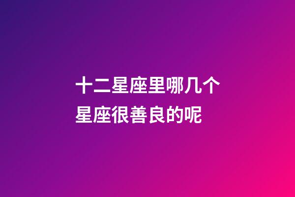 十二星座里哪几个星座很善良的呢-第1张-星座运势-玄机派