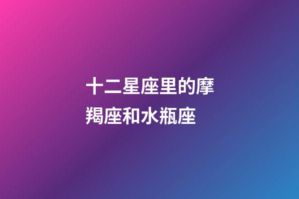 十二星座里的摩羯座和水瓶座-第1张-星座运势-玄机派