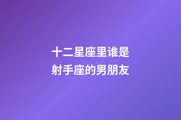 十二星座里谁是射手座的男朋友-第1张-星座运势-玄机派