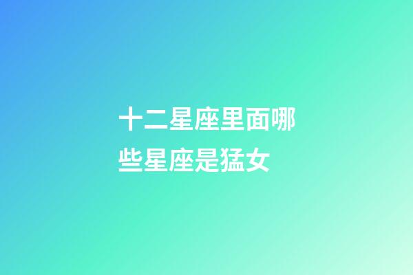十二星座里面哪些星座是猛女-第1张-星座运势-玄机派