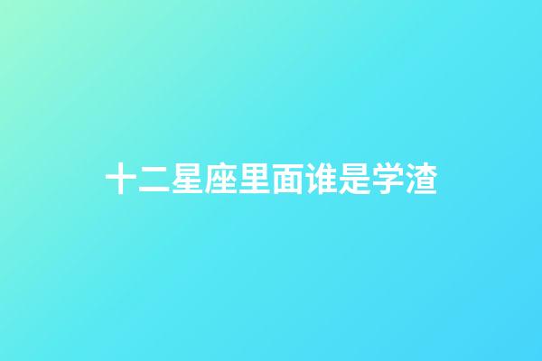 十二星座里面谁是学渣-第1张-星座运势-玄机派