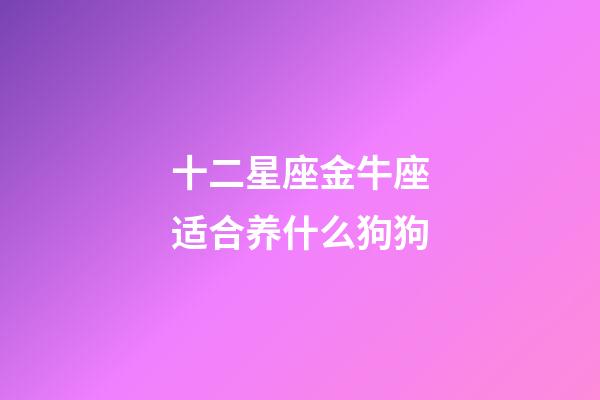 十二星座金牛座适合养什么狗狗-第1张-星座运势-玄机派