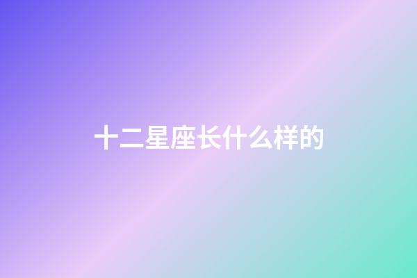 十二星座长什么样的-第1张-星座运势-玄机派