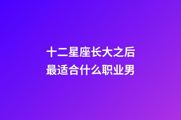 十二星座长大之后最适合什么职业男-第1张-星座运势-玄机派