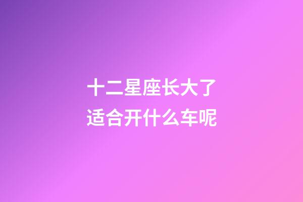 十二星座长大了适合开什么车呢-第1张-星座运势-玄机派