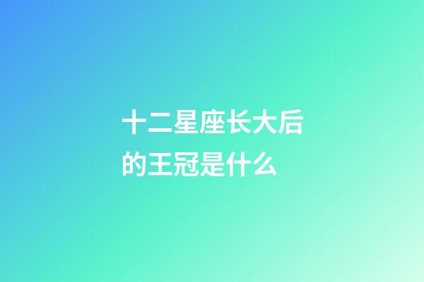 十二星座长大后的王冠是什么
