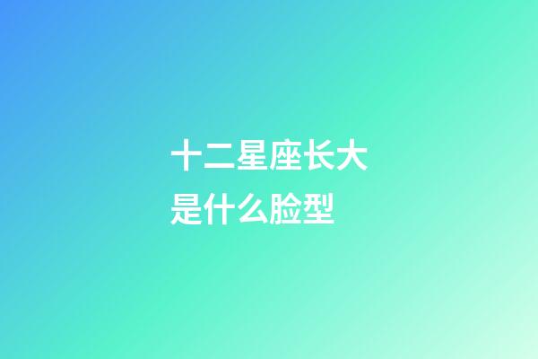 十二星座长大是什么脸型-第1张-星座运势-玄机派