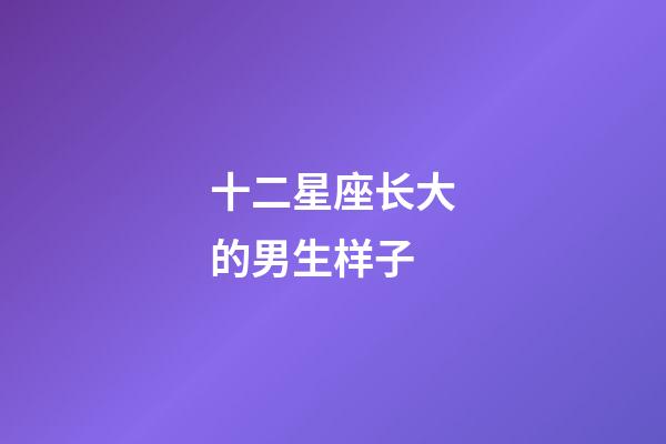 十二星座长大的男生样子-第1张-星座运势-玄机派