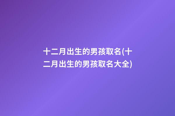 十二月出生的男孩取名(十二月出生的男孩取名大全)