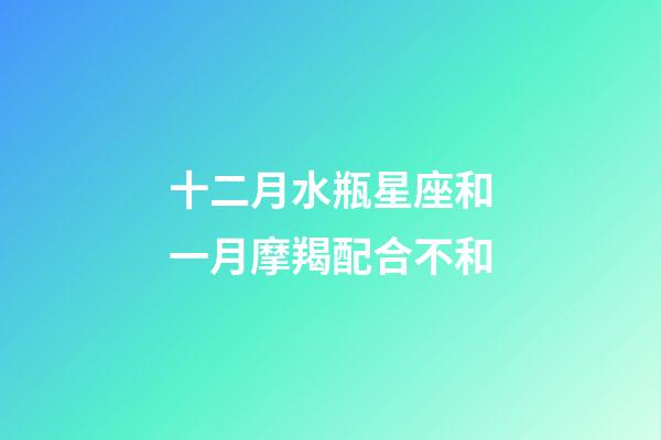 十二月水瓶星座和一月摩羯配合不和-第1张-星座运势-玄机派