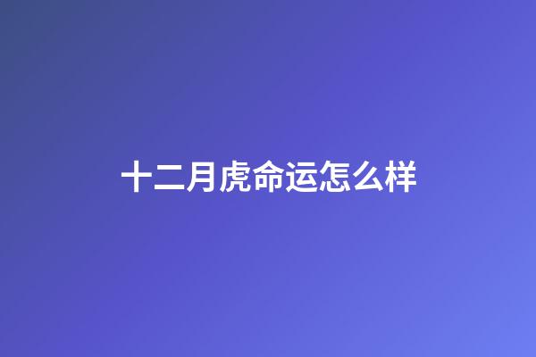 十二月虎命运怎么样