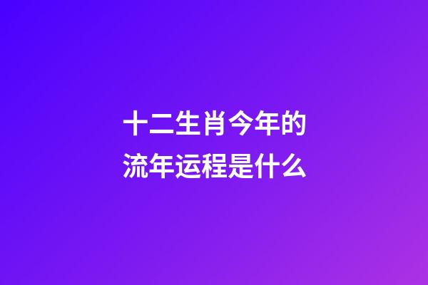 十二生肖今年的流年运程是什么