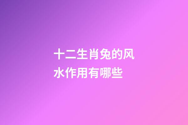 十二生肖兔的风水作用有哪些?