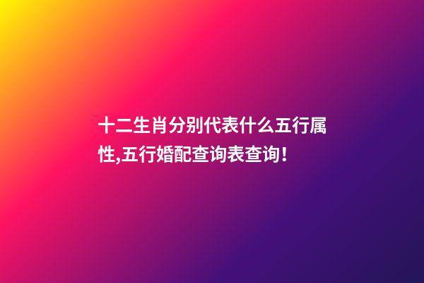 十二生肖分别代表什么五行属性,五行婚配查询表查询！