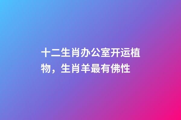 十二生肖办公室开运植物，生肖羊最有佛性