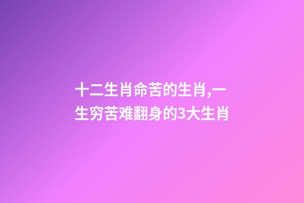 十二生肖命苦的生肖,一生穷苦难翻身的3大生肖-第1张-观点-玄机派