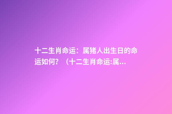 十二生肖命运：属猪人出生日的命运如何？（十二生肖命运:属猪人出生日的命运如何呢）