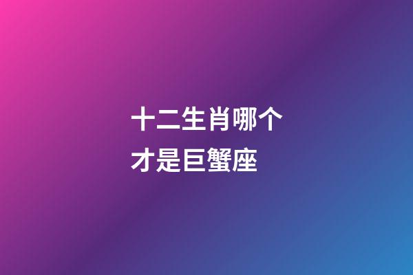 十二生肖哪个才是巨蟹座-第1张-星座运势-玄机派