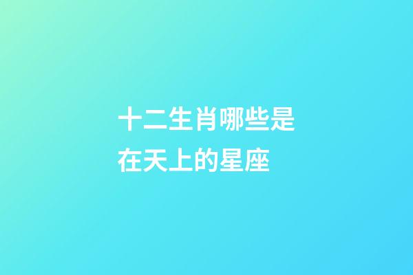 十二生肖哪些是在天上的星座-第1张-星座运势-玄机派