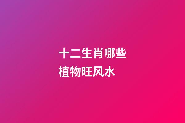 十二生肖哪些植物旺风水