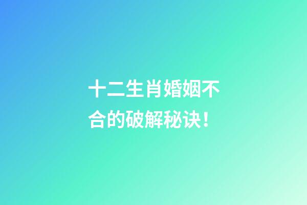 十二生肖婚姻不合的破解秘诀！