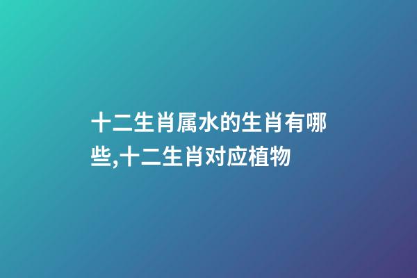 十二生肖属水的生肖有哪些,十二生肖对应植物-第1张-观点-玄机派