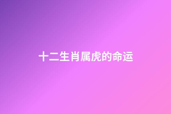十二生肖属虎的命运